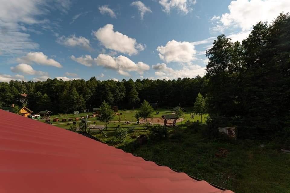 Pokoje Nad Szeszupa Jasionkove Dobro Rutka-Tartak Buitenkant foto